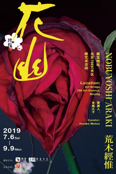 畅享文艺生活,京城八月热门展览大盘点