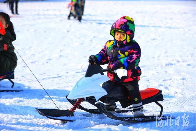 12条雪道体验冰雪乐趣沧州市沧海文化风景区滑雪场开门迎客