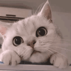 熊孩子怕打针逃离医院，狂奔50公里