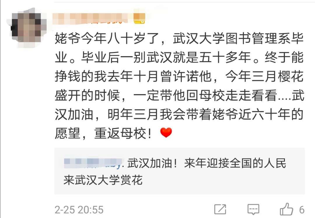 武汉大学的樱花开了！网友：突然想哭