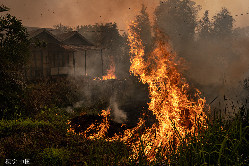 印尼森林火灾持续消防员紧急灭火