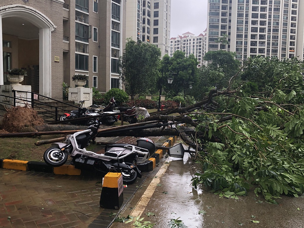 受台风"海高斯"影响 广东中山树木倾倒砸坏汽车