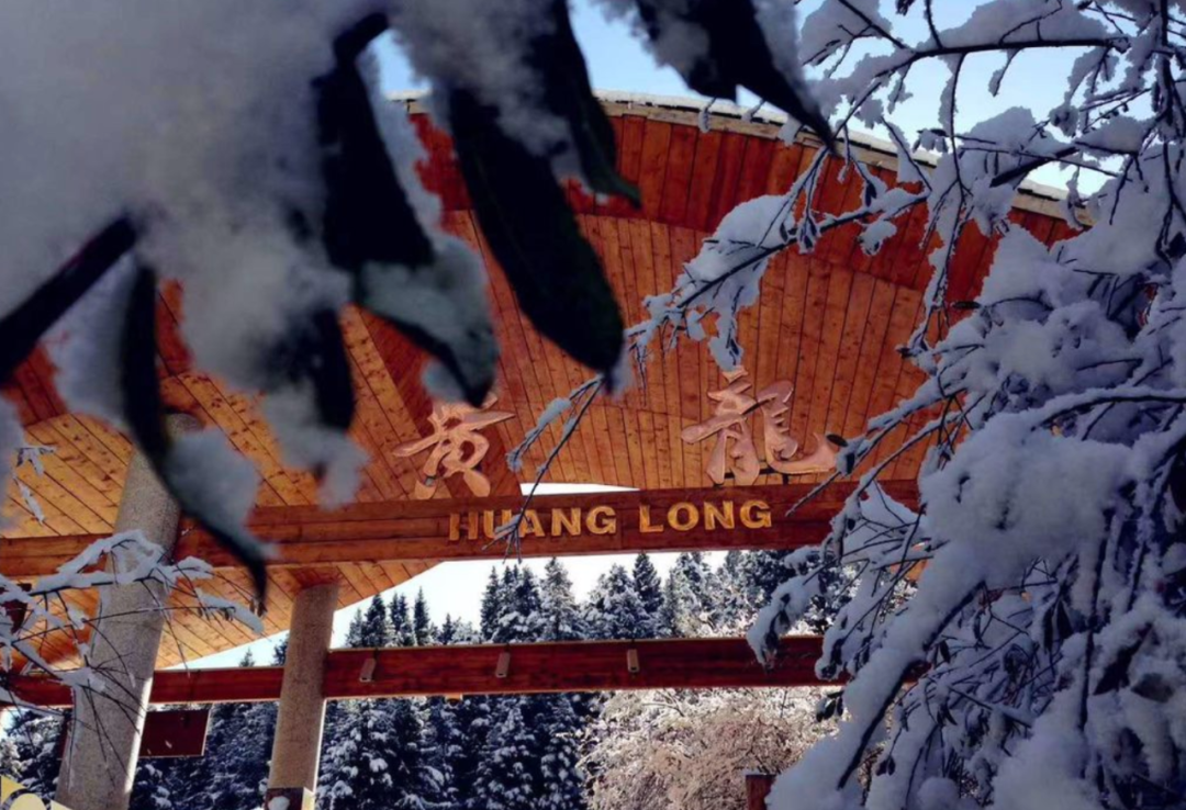 第一场雪来啦！多地解锁雪景模式