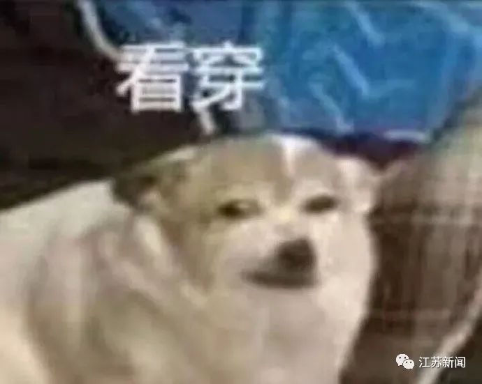 老师说要带一条鱼上课观察 学生提着一斤大鲫鱼来了