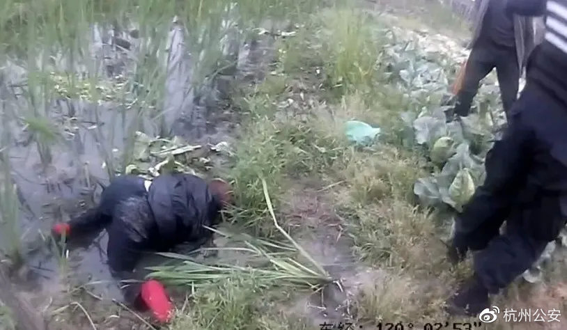 水田里趴着个女人！杭州接连发生两起这类事