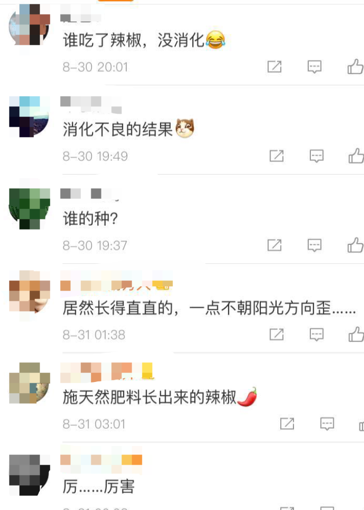 时隔8个月返校，女生宿舍竟长出辣椒，位置很尴尬