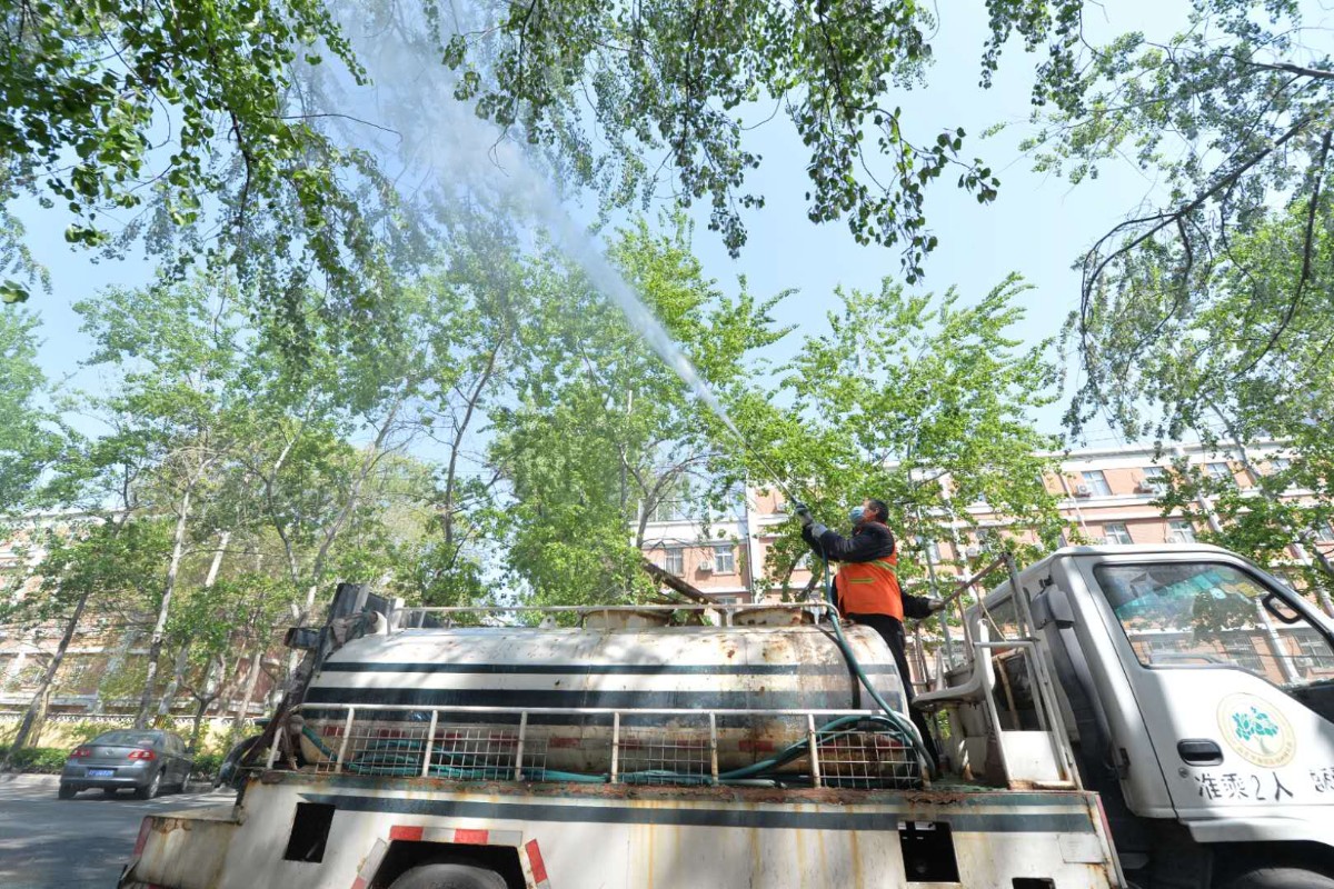 杨柳絮撒欢季节到!41家疫苗企业 118件防飞絮专利 治理仍任重道远