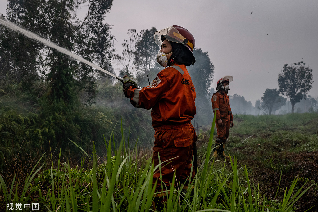 印尼森林火灾持续消防员紧急灭火