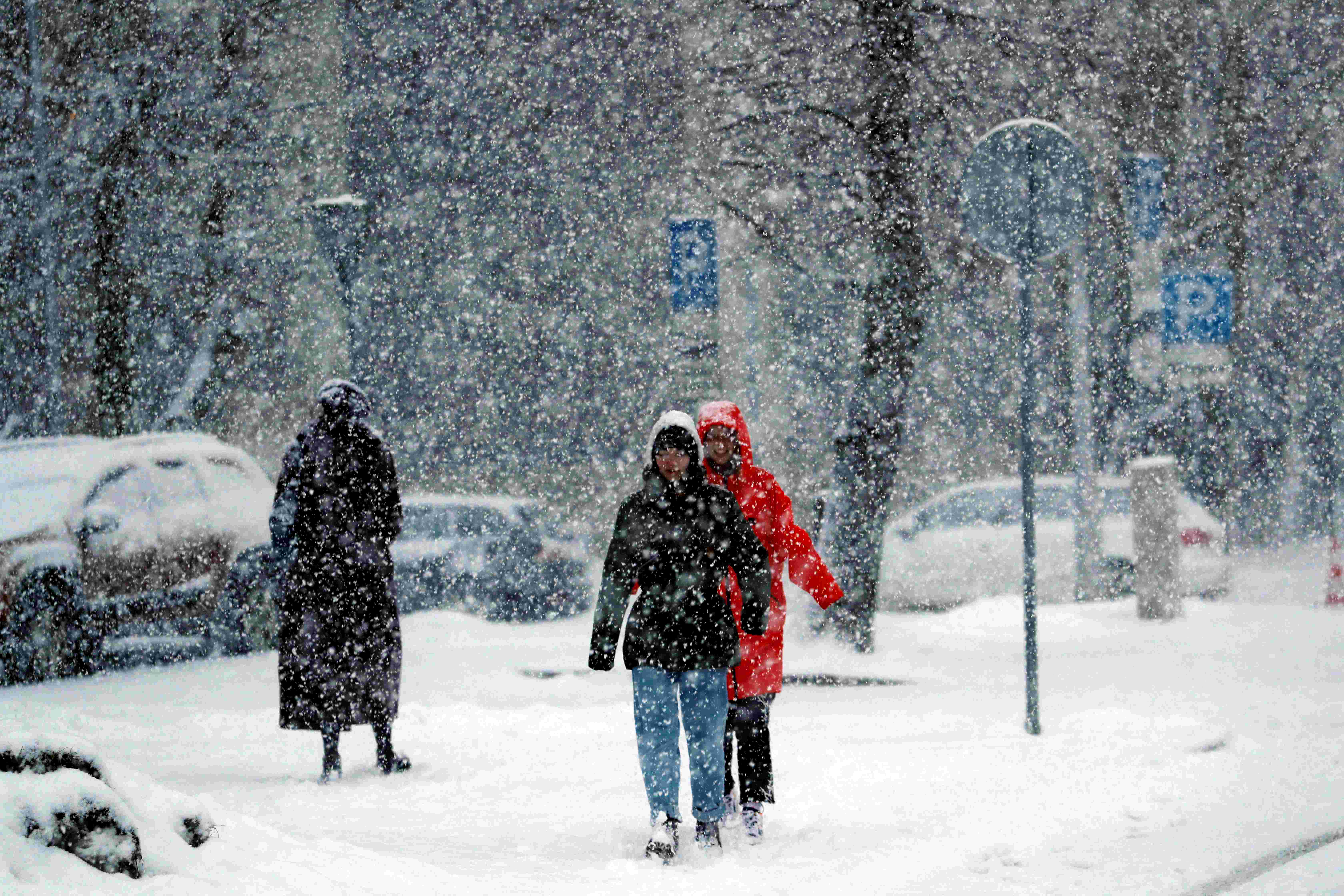 大雪纷飞!拉脱维亚迎来强暴风雪