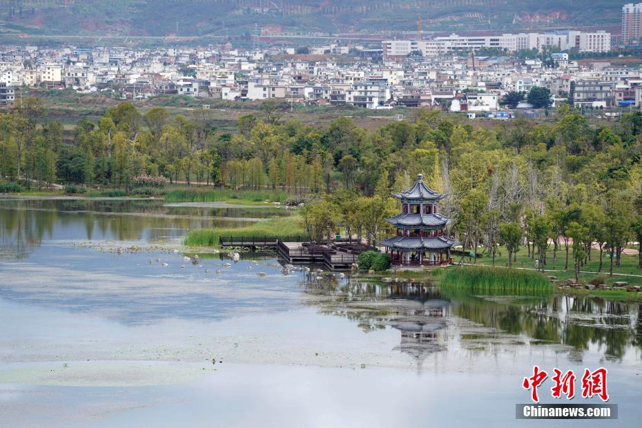 云南保山青华海国家湿地公园展现人与自然和谐画卷