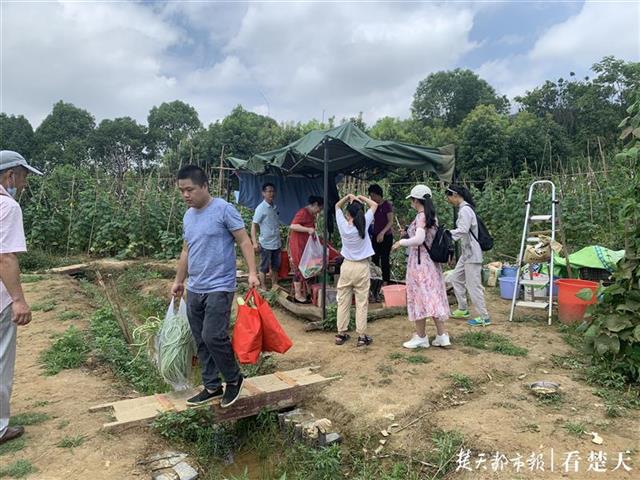 武汉寺庙佛系蔬菜走红，预约太火爆&quot;在线卑微求冷静&quot;