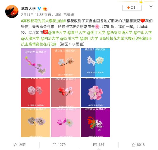 武汉大学的樱花开了！网友：突然想哭