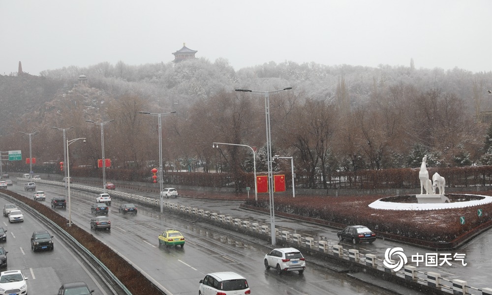 下雪了新疆乌鲁木齐出现降雪地面树木皆可见白