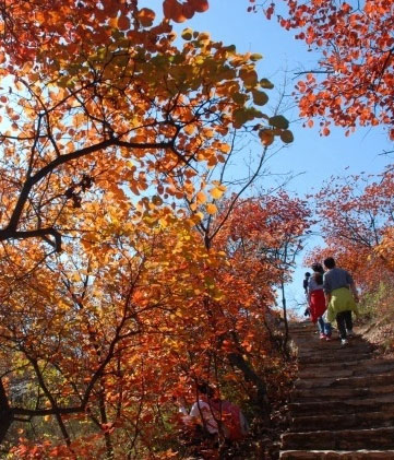 베이징 가을, 주요 단풍 감상지