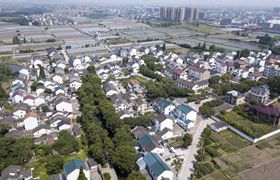 绍兴将招募13个乡村振兴先行村“运营团队”