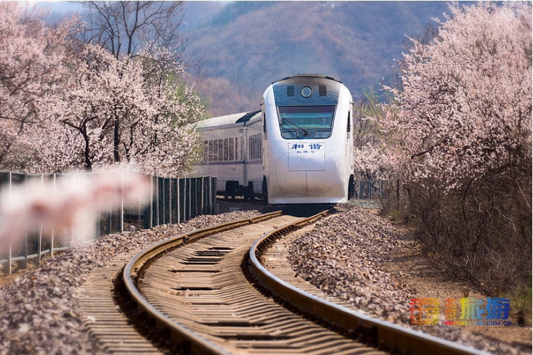 « Train au printemps », prendre la ligne S2 pour profiter des fleurs dans la banlieue de Beijing