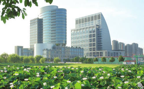 奋力描绘高质量发展“生态底色”