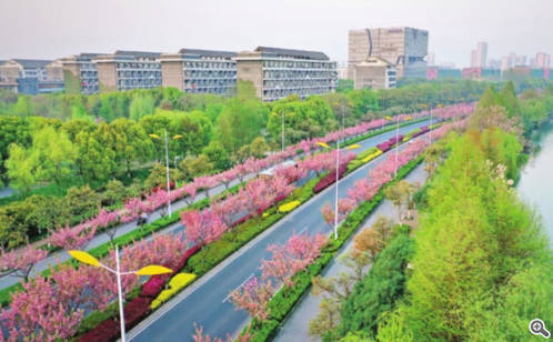 生态园区的“绿色家底”