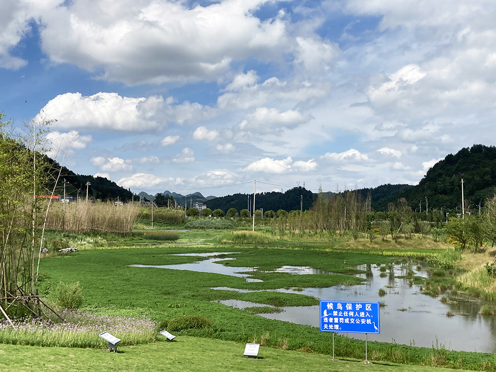 2020“数博对话”第三期活动成功举办 探讨大数据扶贫助力乡村产业振兴