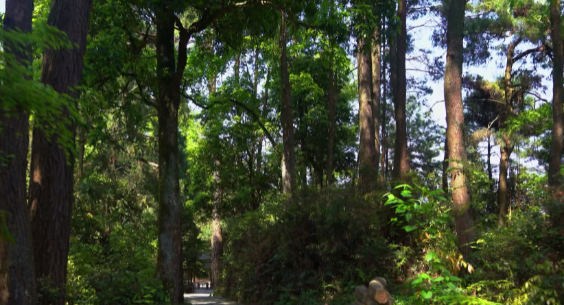 【视频】曹锦鹏：人与自然和谐共生 已融入贵州人骨子里