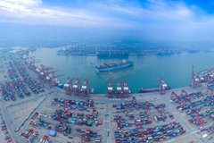 山东自贸区青岛片区