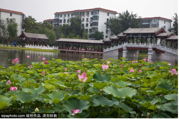 Xihaizi Park