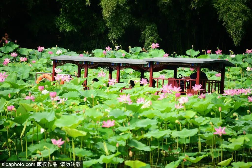 Zizhuyuan Park