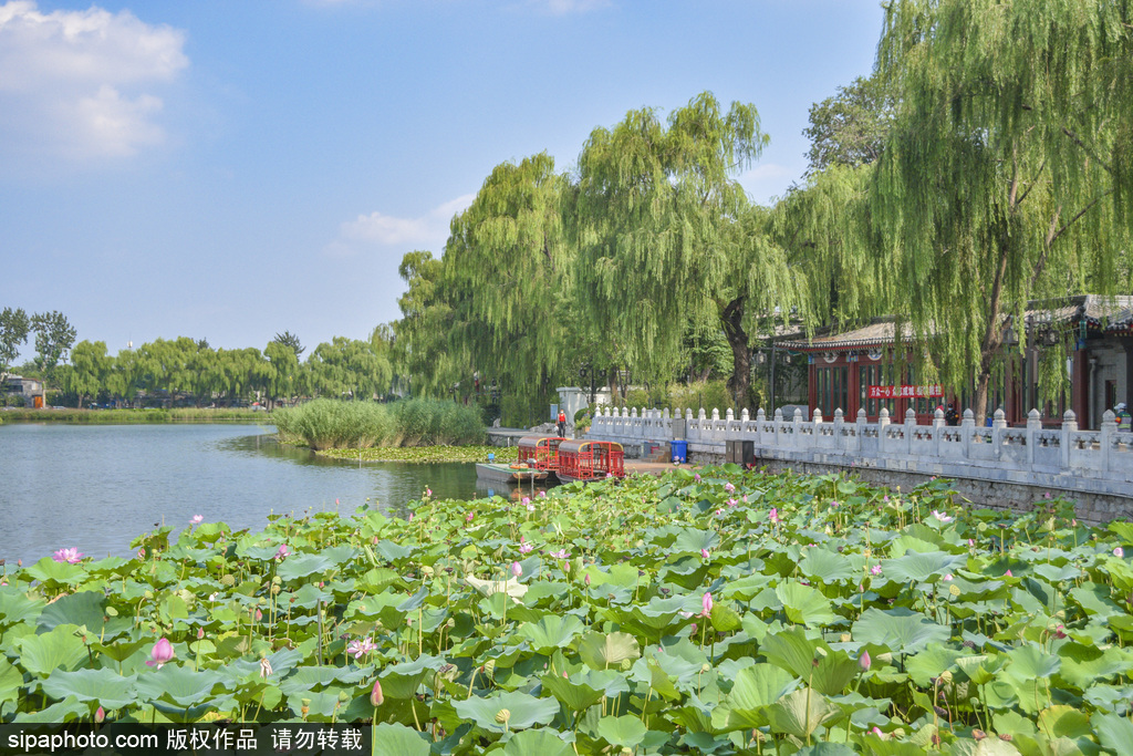 Xihai Wetland Park