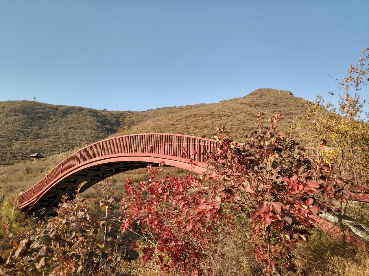 京郊顺义舞彩浅山开放预计月底红叶进入最佳观赏期