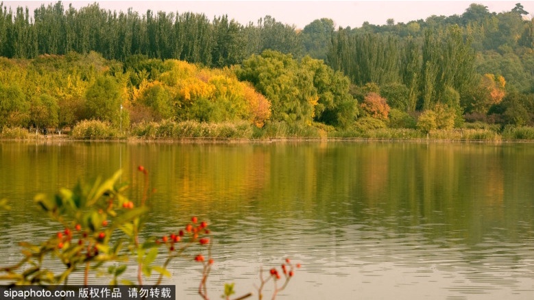 京都内的 小森林 宁静又惬意 北京旅游网
