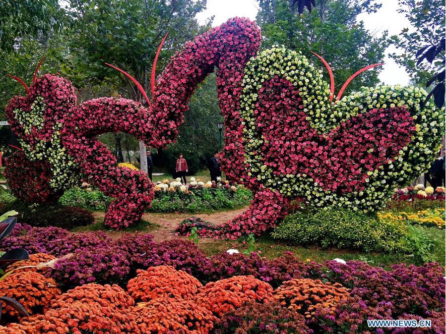 Beautiful scenery at Beijing International Flower Port