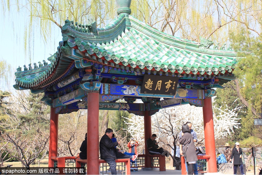 寻访北京五大“神坛”，追忆百年文化古韵