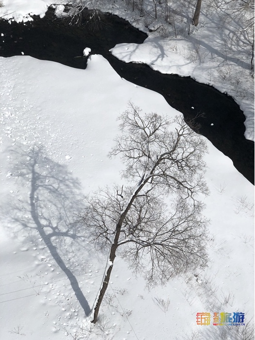 第三届长白山粉雪节暨第十五届长白山雪文化旅游节来啦 优惠多 有保障 玩期长 北京旅游网