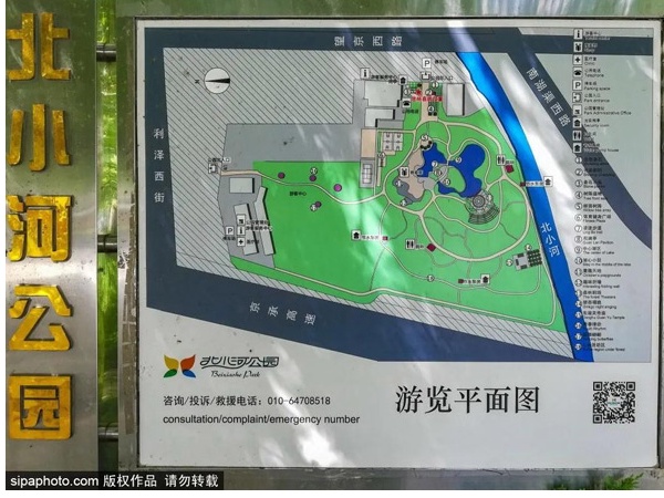 北京闹市中竟藏着一个雅致小公园 湖光云影 竹林森森 百花飘香 环游号