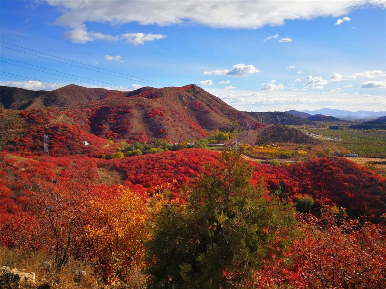 京郊顺义舞彩浅山开放预计月底红叶进入最佳观赏期