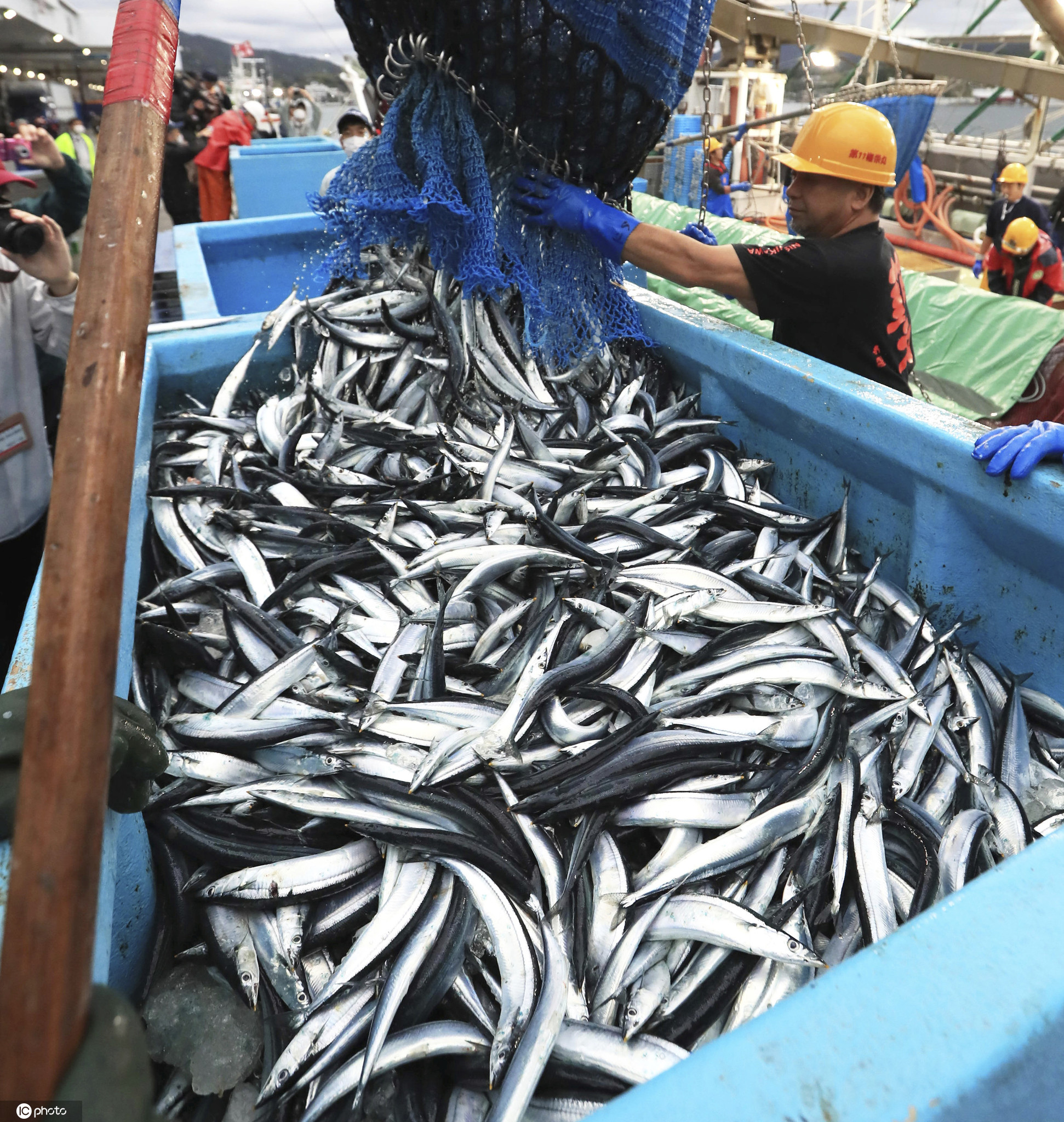 日本宫城县迎来秋刀鱼开渔季02渔民喜获丰收