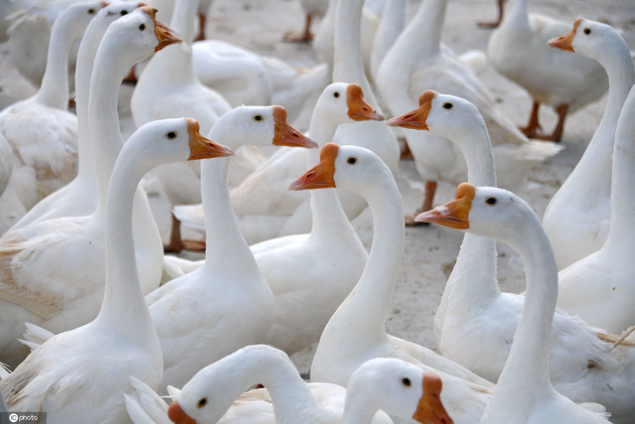 人民币兑美元汇率持续上涨 美元下跌推高黄金投资