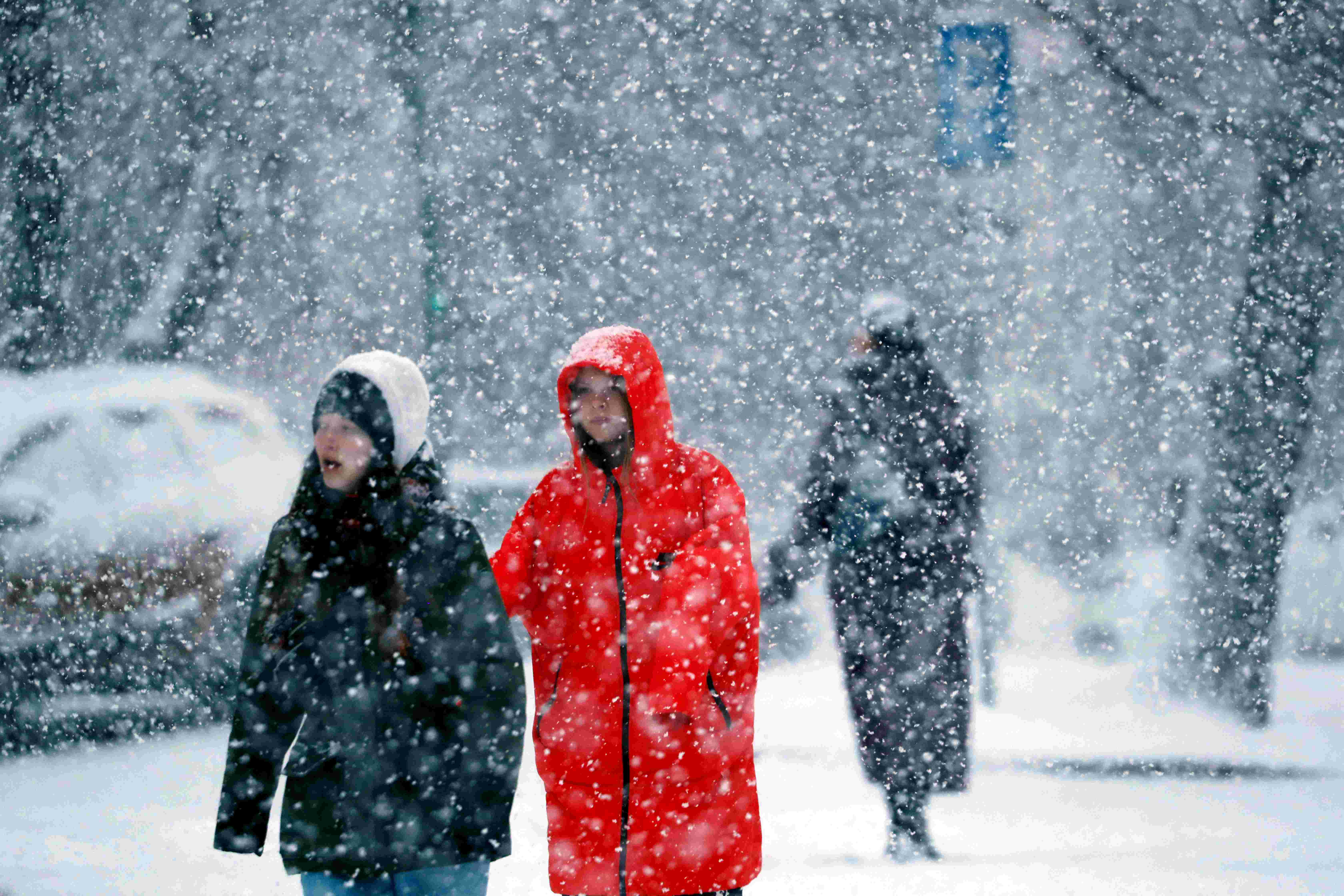 大雪紛飛!拉脫維亞迎來強暴風雪