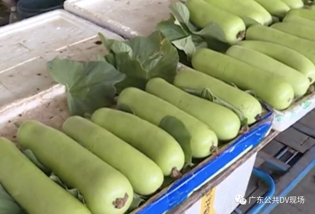 警惕!这种带苦味的瓜不能吃,一家四人因此中毒入院