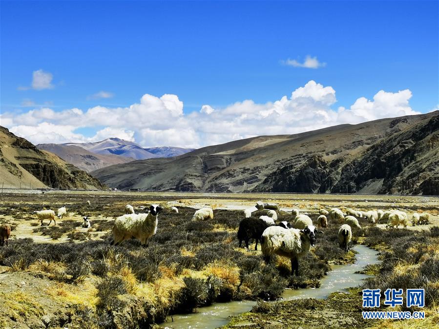 珠穆朗玛峰国家级自然保护区掠影