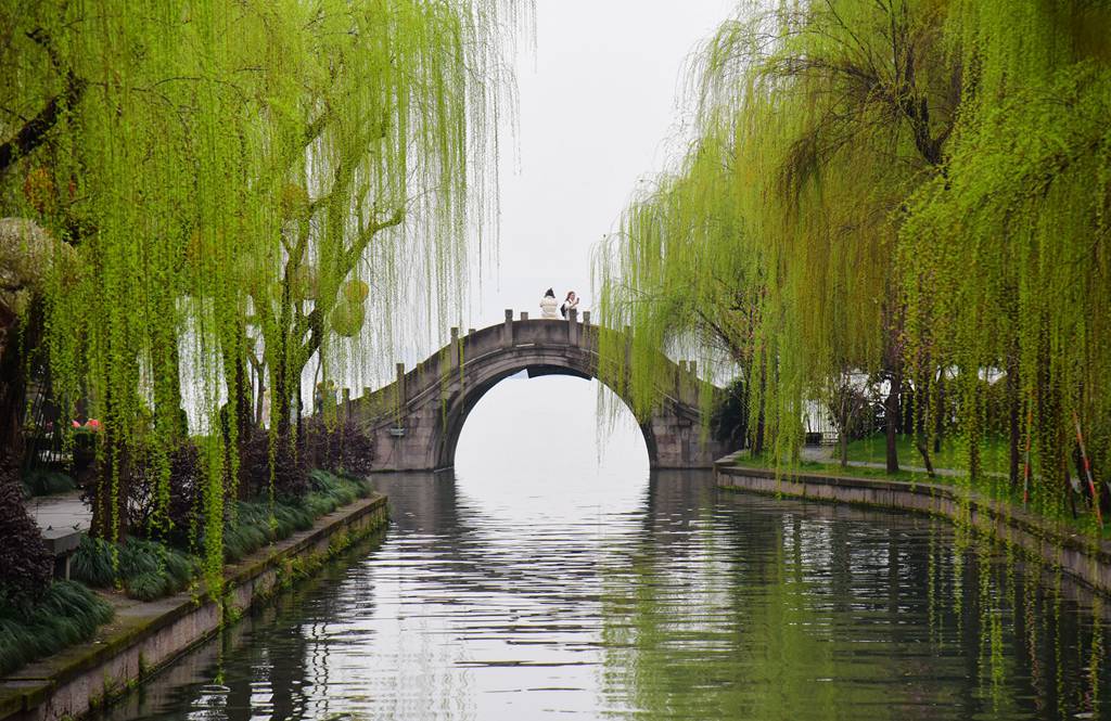 煙雨江南 杭州西湖柳色青青