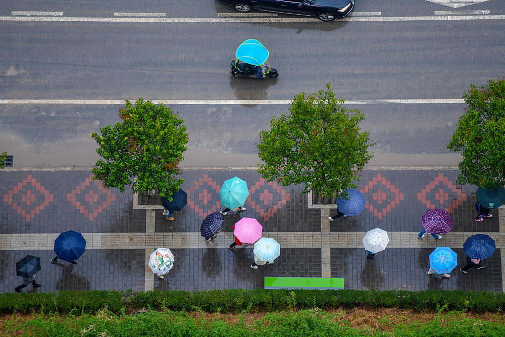 雨伞俯视图图片