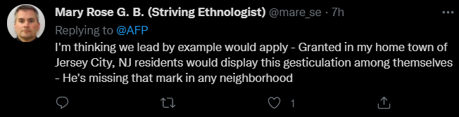 想竞选总统的法国红人被拍到朝路人"竖中指",法媒:竞选之路可能要崩