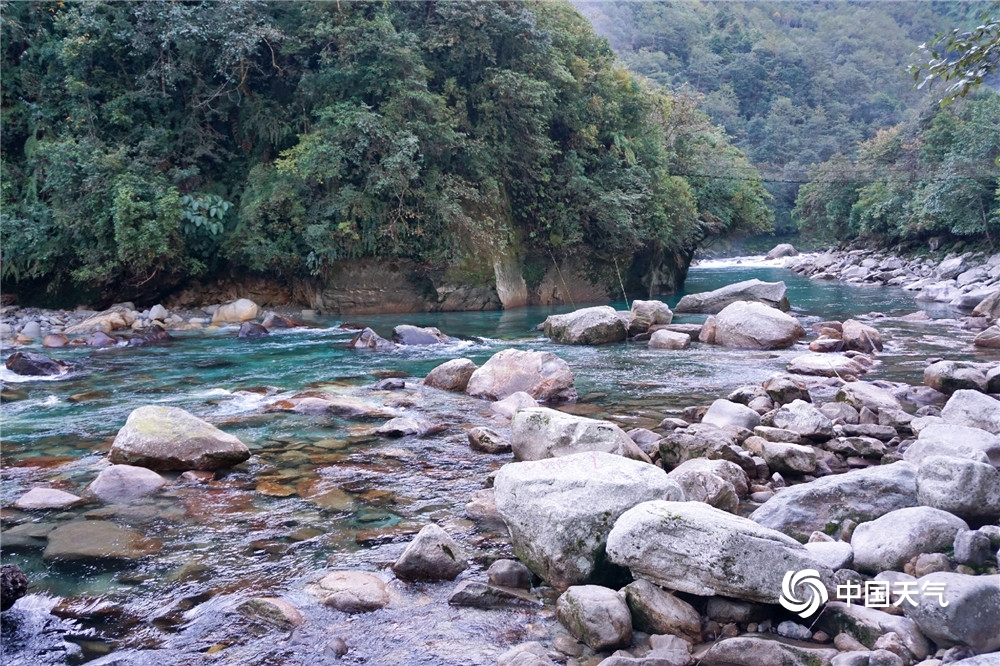 冬意漸濃!雲南貢山獨龍江景色如畫卷