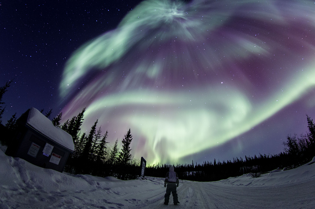 绚丽极光现身加拿大夜空
