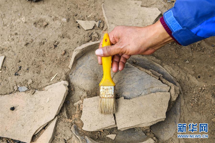 10月25日，考古人员在呼和浩特市武川县境内的北魏皇帝祭天遗址发掘现场作业。 新华社记者 彭源 摄