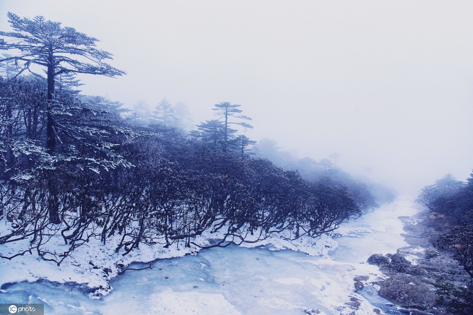 大寒节气 云南昆明禄劝轿子雪山现绝美雪景