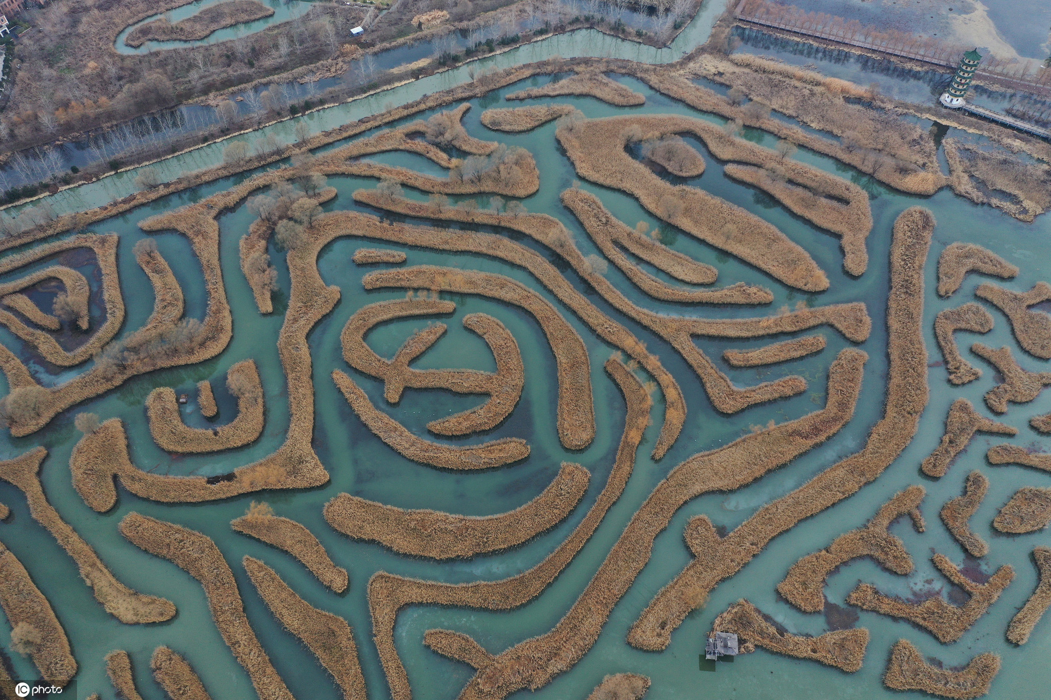 江苏盐城:芦荡迷宫景色迷人 是中国最大水上芦苇迷宫