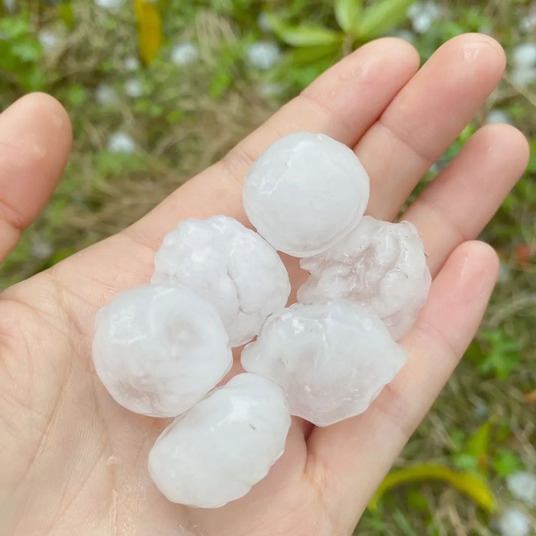 刚刚,浙江多地下冰雹,网友装了几个脸盆!接下去的天气