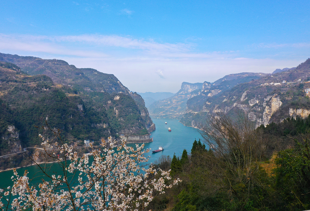 湖北宜昌西陵峡畔春暖花开
